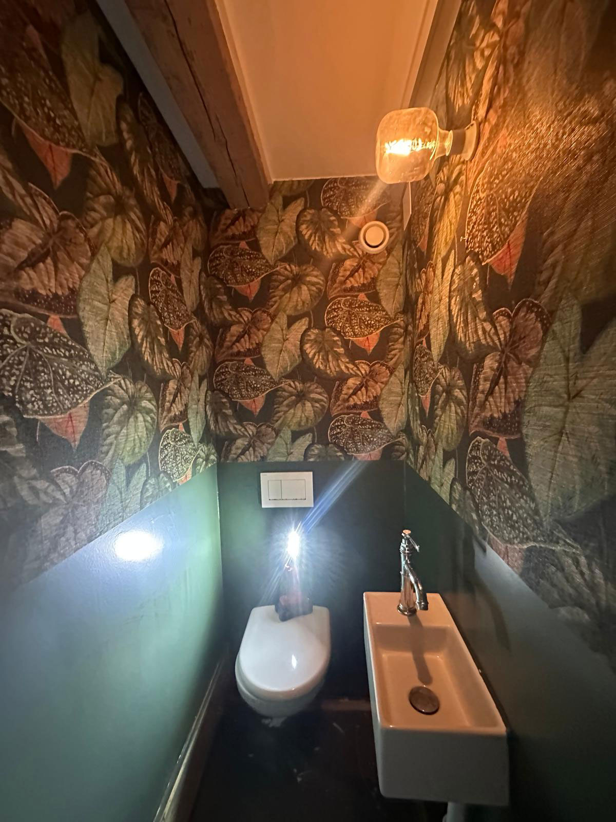 Neu gestaltete Nasszelle der Marea Cocktailbar Zürich mit dekorativer Blättertapete, dunkler Wandfarbe, moderner Beleuchtung und hochwertiger Malerarbeit.